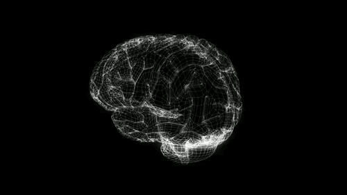 Agykutatók matematikai algoritmussal osztályozzák az agysejteket