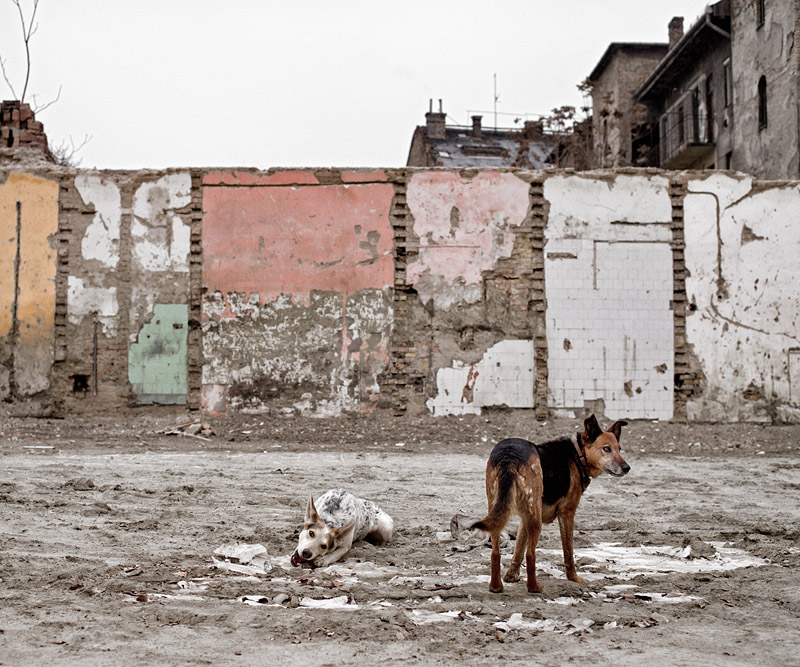 Budapest, 2009 (Fotó: Dezső Tamás)