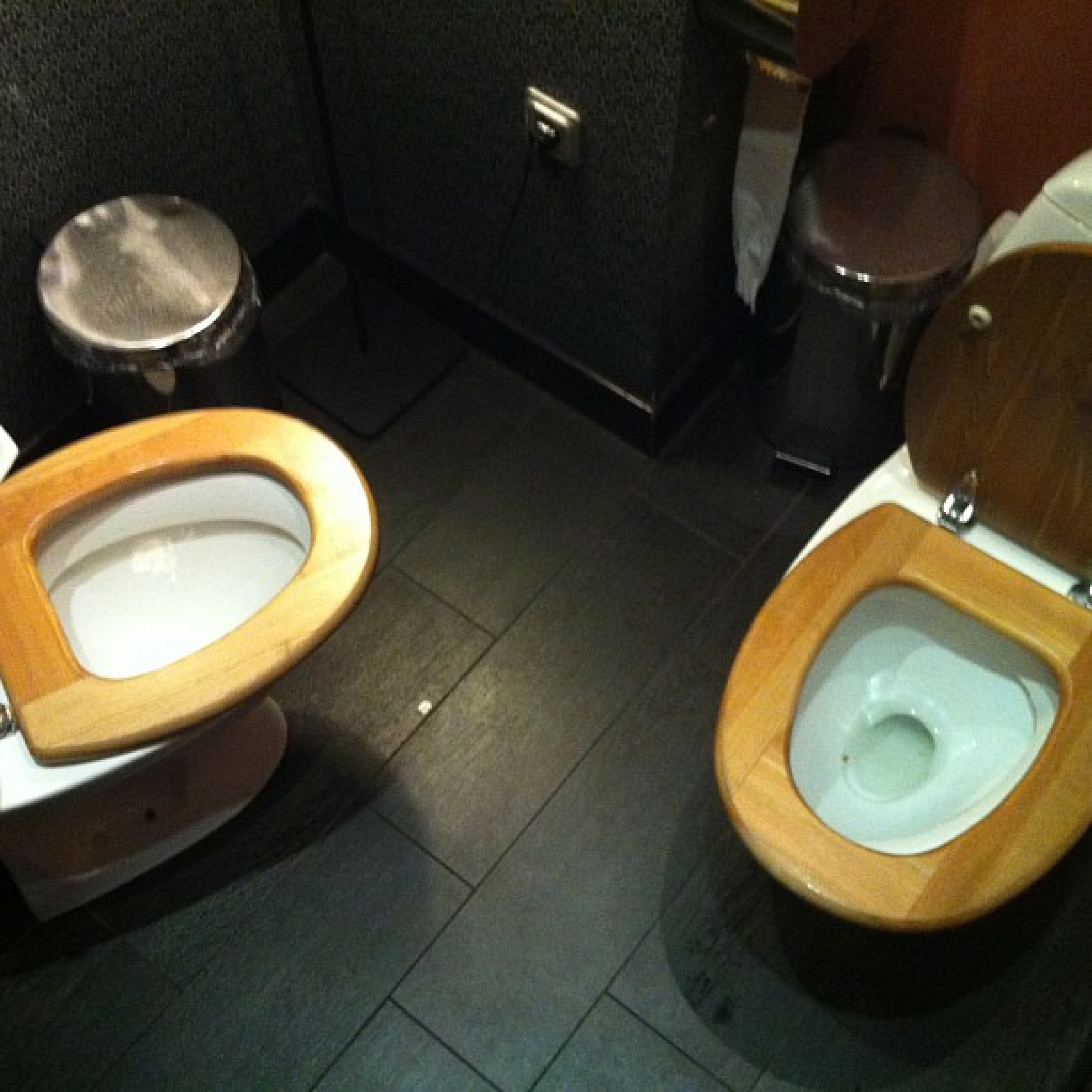 Напротив унитаза. Двухместный туалет. Унитаз для двоих. Сдвоенный унитаз. Унитазы друг напротив друга.
