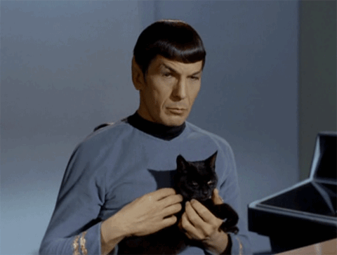 Bolygót találtak ott, ahol a Star Trekben a Vulcan van