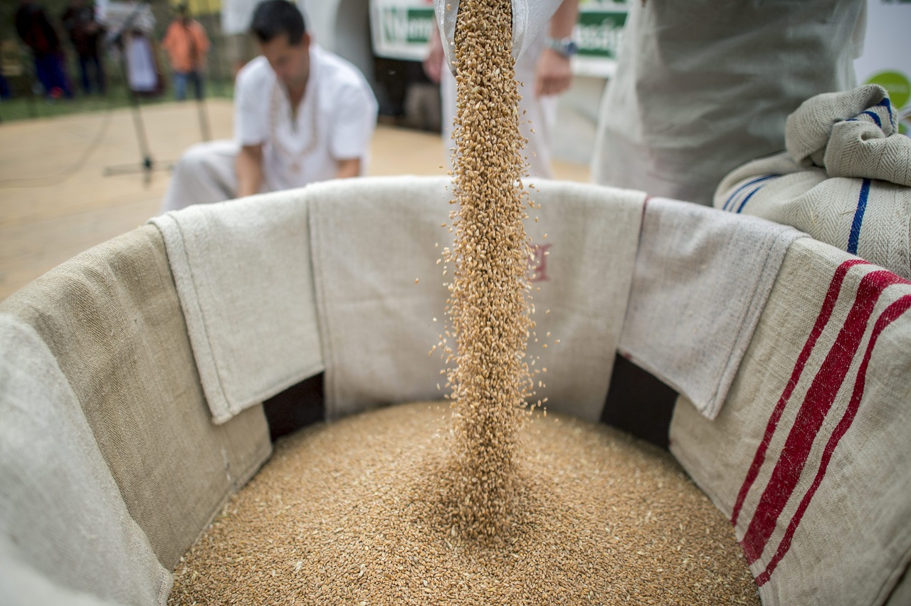Világbank: az élelmiszerárak 23 százalékkal emelkednek az idén