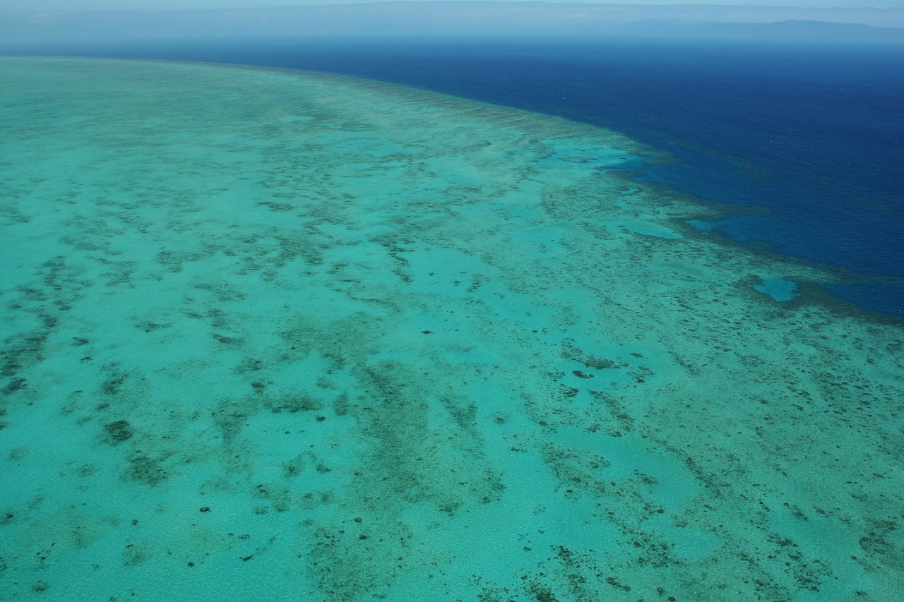 A Nagy Korallzátony egy része 2009. augusztus 7-én. Charlie Veron tengerkutató 2014-es jelentése szerint amint eléri a szén-dioxid a kritikus szintet (a becslések szerint 2030 és 2060 között), minden zátony elpusztul, és az ökoszisztémájuk összeomlik.