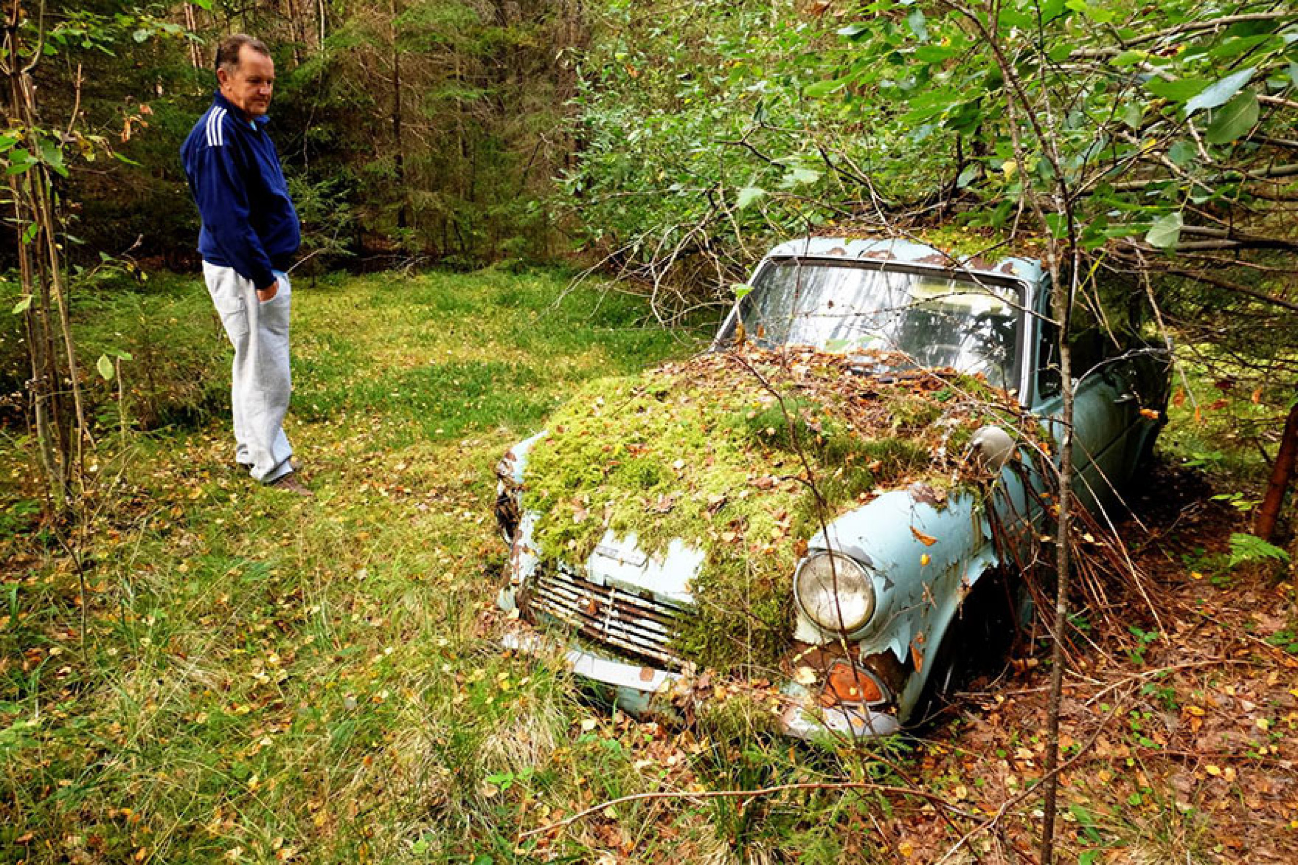 Where the car. Заросший автомобиль. Старые заросшие машины. Машина заросшая травой. Найти машину.