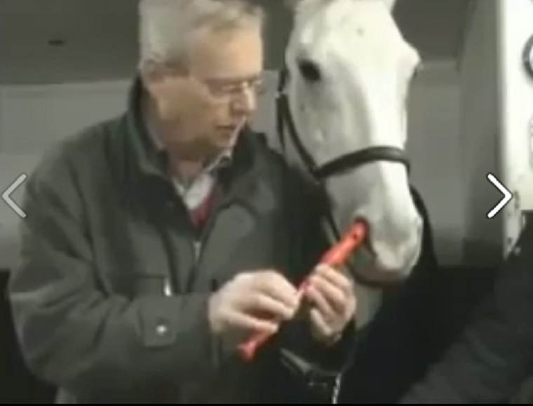 Ez a videó nem ígér többet annál, mint hogy egy ló furulyázik benne az orrán keresztül, de ez bőven elég