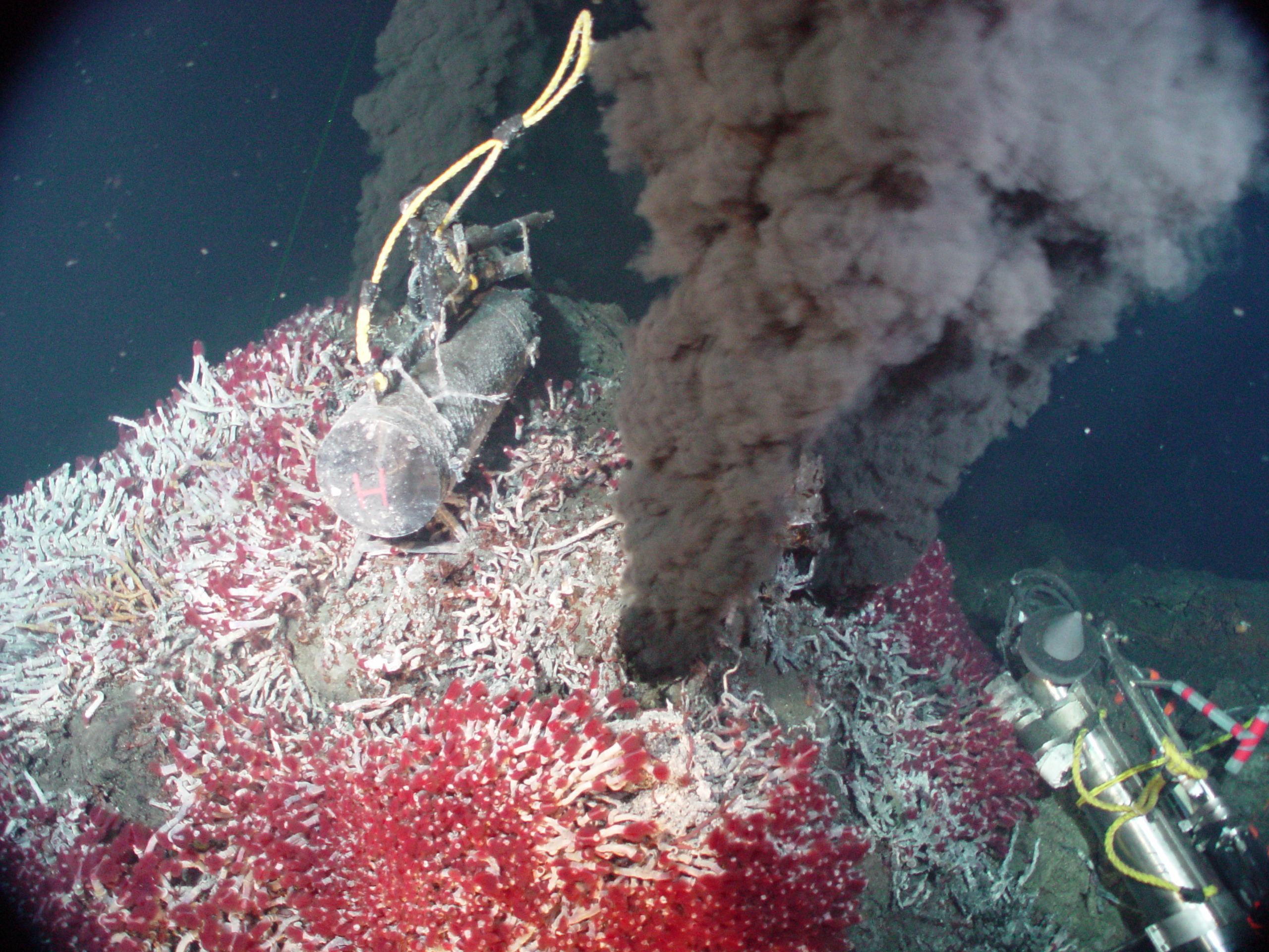 Hidrotermális kürtő a Csendes-óceánban