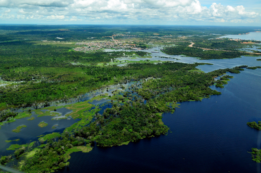 Az Amazonas-esőerdő Manaus város közelében. Forrás: Neil Palmer-CIFOR
