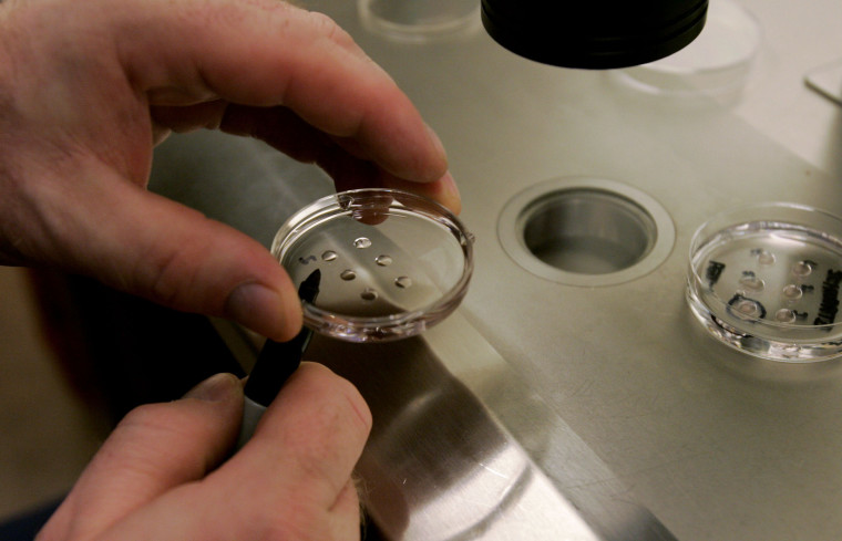 Hollandiában mostantól kutatási céllal is létre lehet hozni emberi embriókat