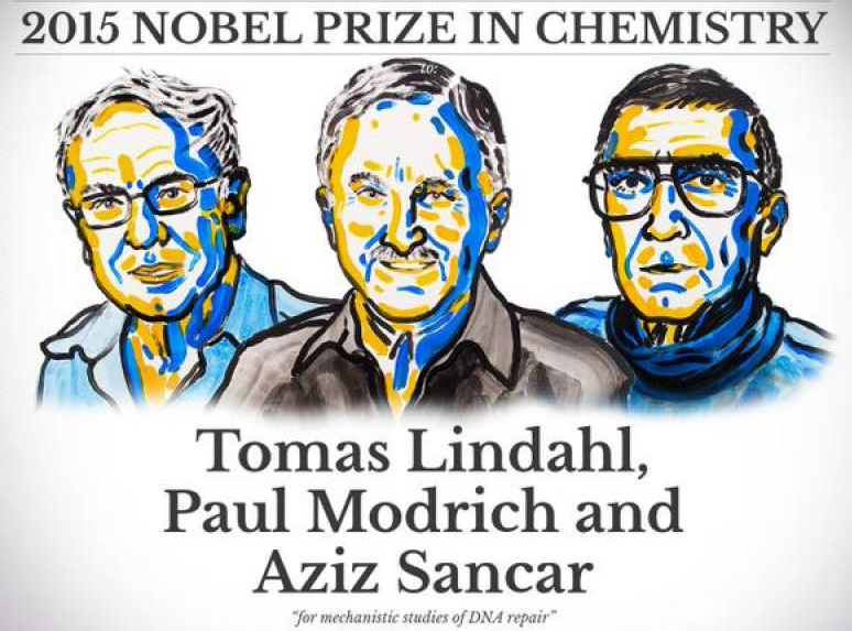 DNS-hibajavítás és Nobel díj