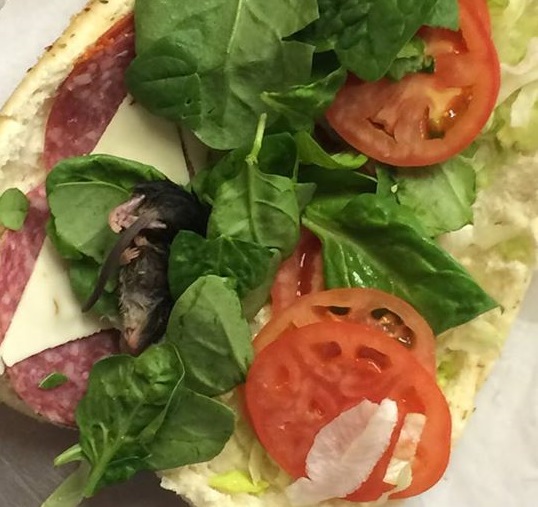 Bébipatkány keveredett a Subway szendvics bébispenótjába