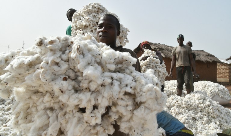 127 milliárd pólóra elég gyapot van raktáron világszerte