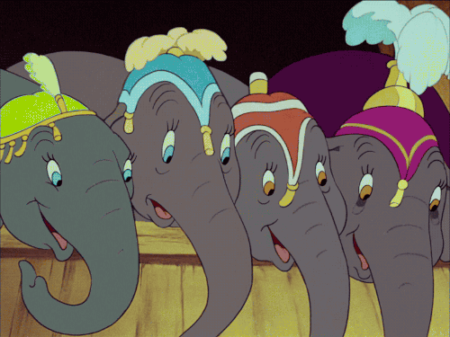 Már idén eltűnhetnek az elefántok két nagy amerikai cirkuszból