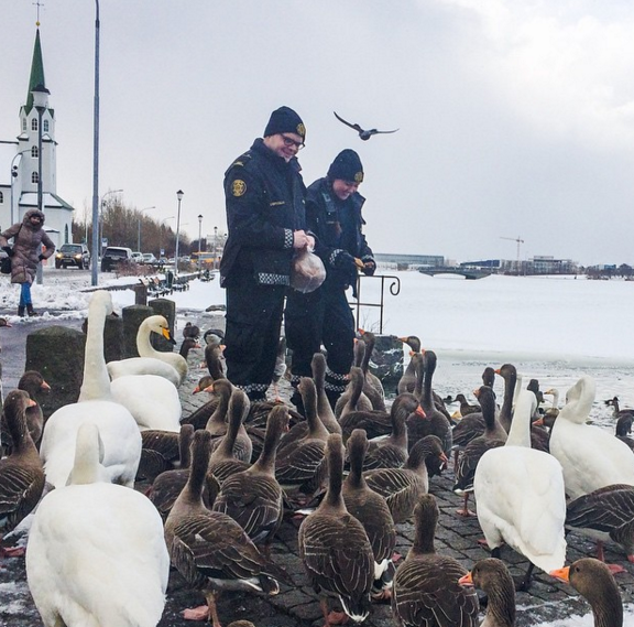 Az izlandi rendőrség Instagramja még mindig az egyik legjobb dolog az interneten