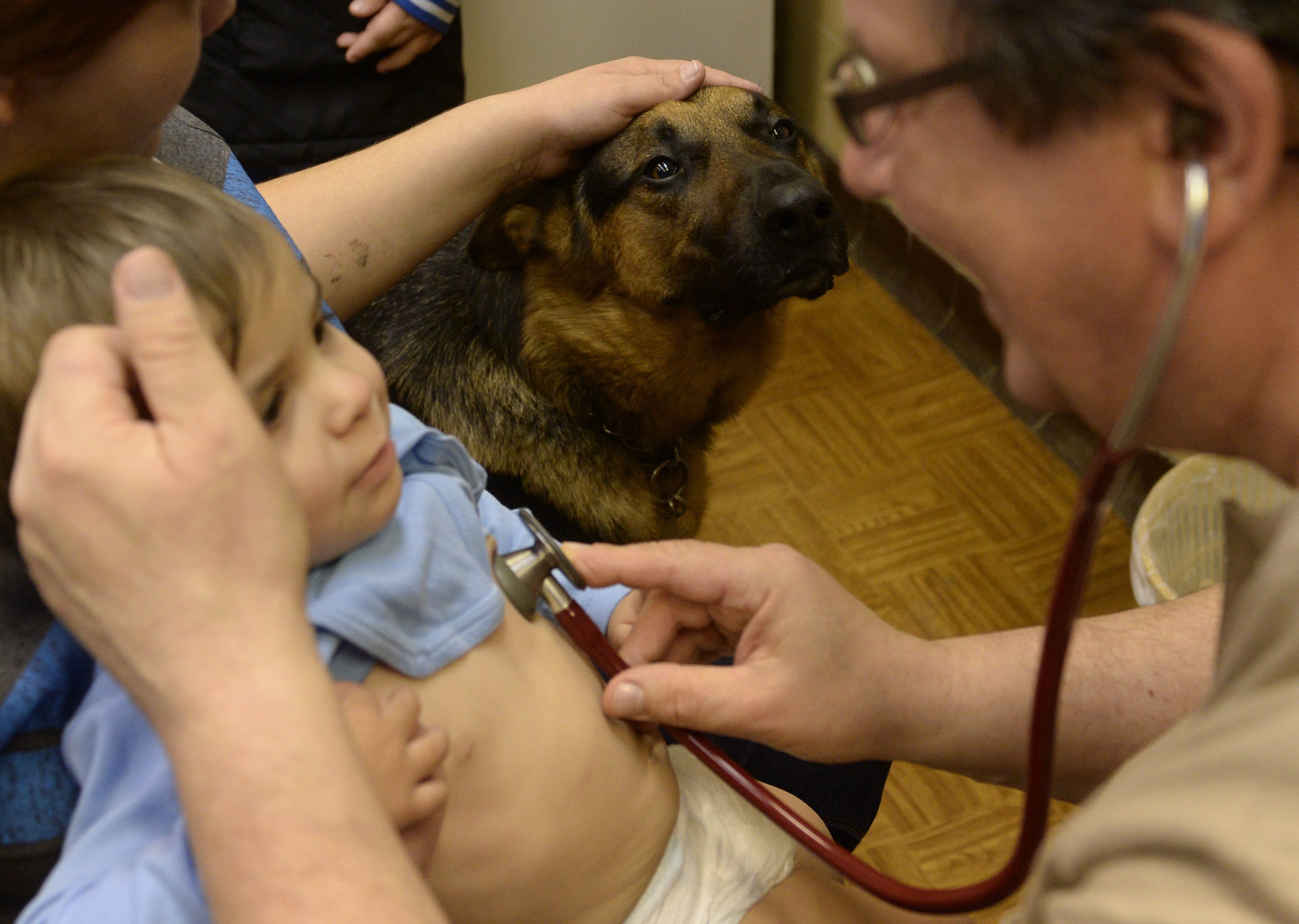 A kormányhivatal kitiltotta a terápiás kutyát az orvosi rendelőből