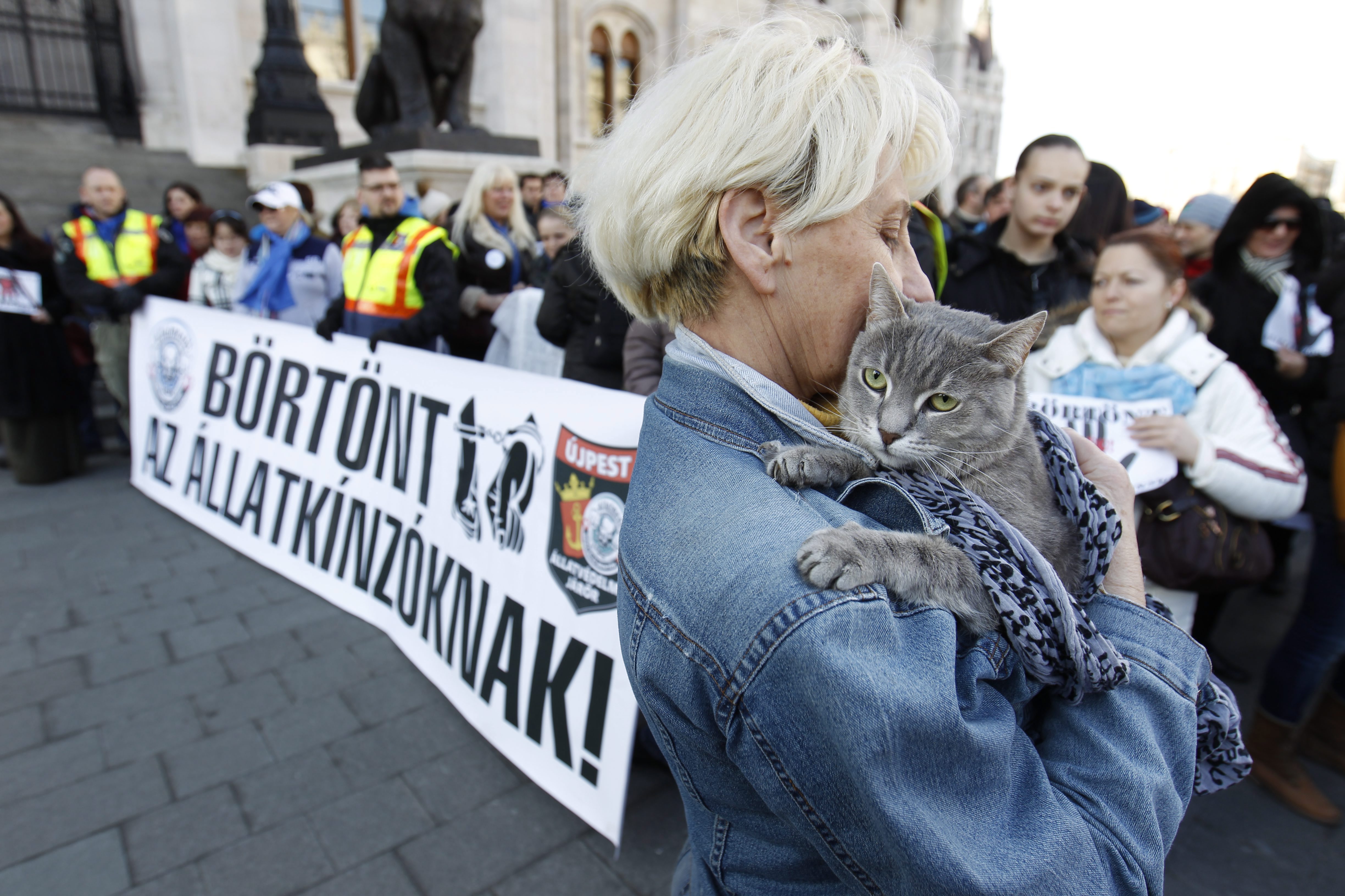 A fideszes többség elutasította a törvényjavaslatot, amivel könnyebben lehetett volna börtönbüntetésre ítélni az állatkínzókat