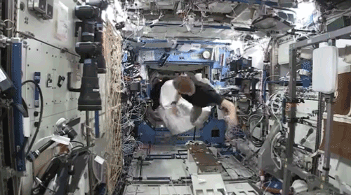 Gorillának öltözött az űrhajós az ISS-en