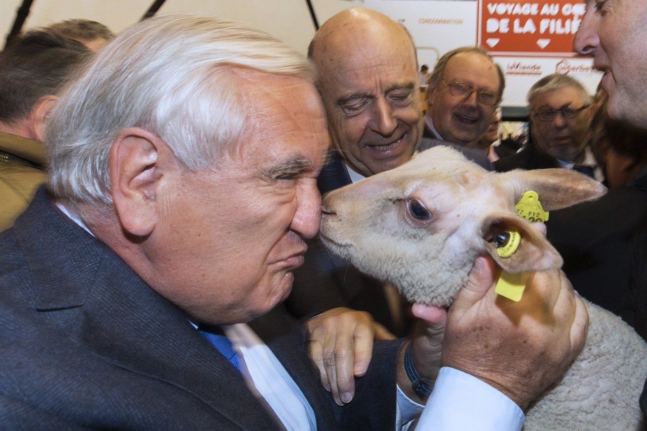 A volt francia miniszterelnök megfejelt egy bárányt az orrával