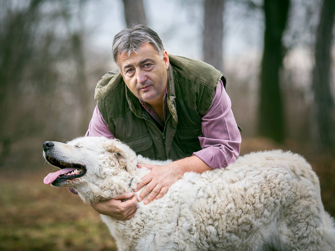 Mészáros Lőrinc emberei gondozzák Orbán Viktor kutyáját egy titokzatos luxusmajorságban