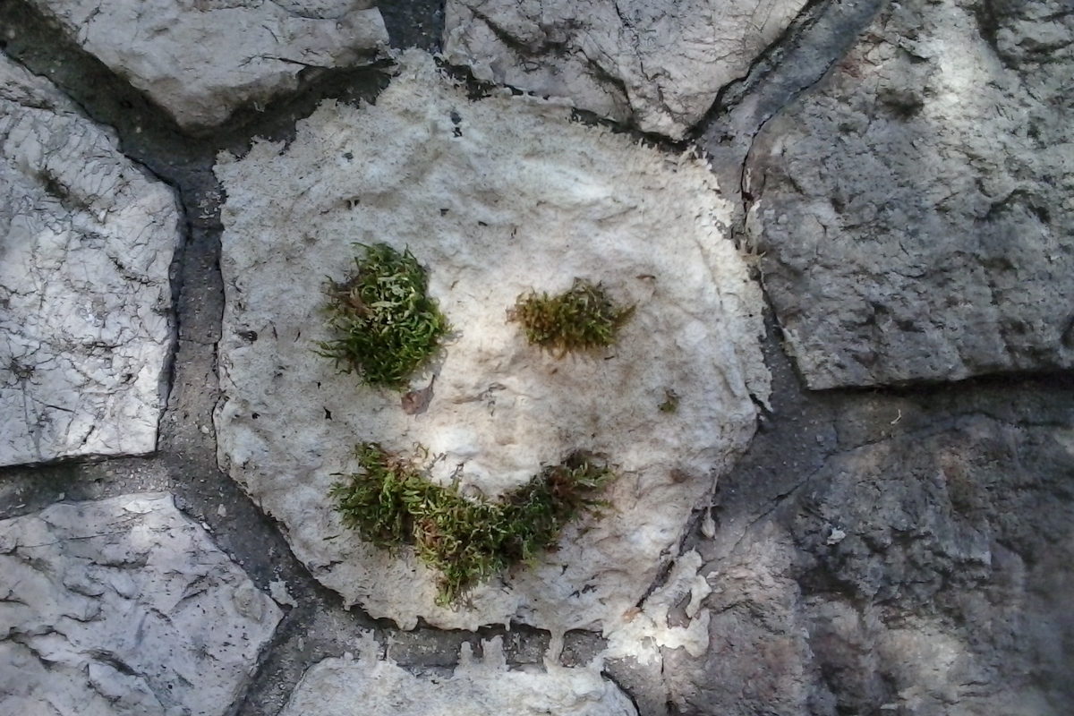 Zöld szmájli mohából - biotréfa Nizzában