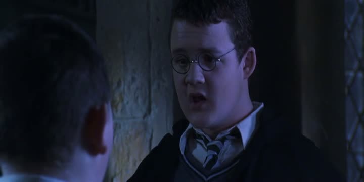Draco Malfoy egyik mardekáros csicskájából menő ketrecharcos lett