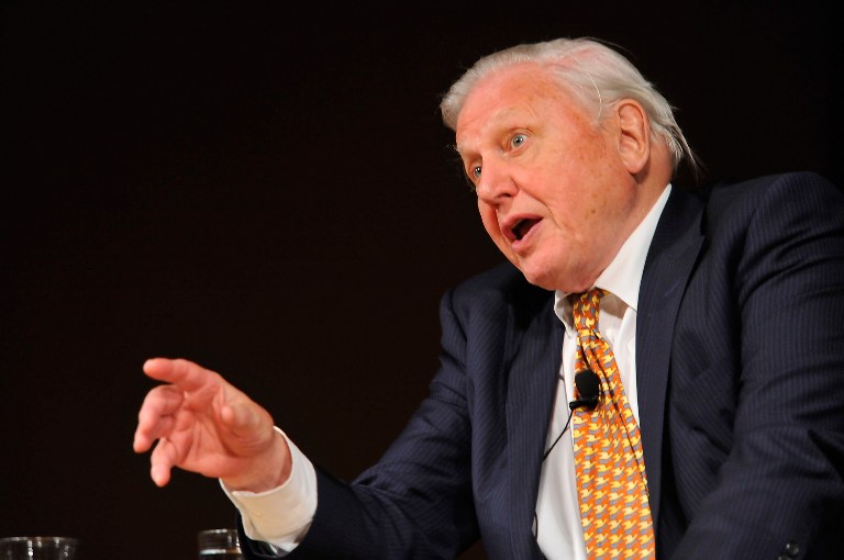 Sir David Attenborough sajnálja, hogy az állatok helyett nem töltött több időt a családjával