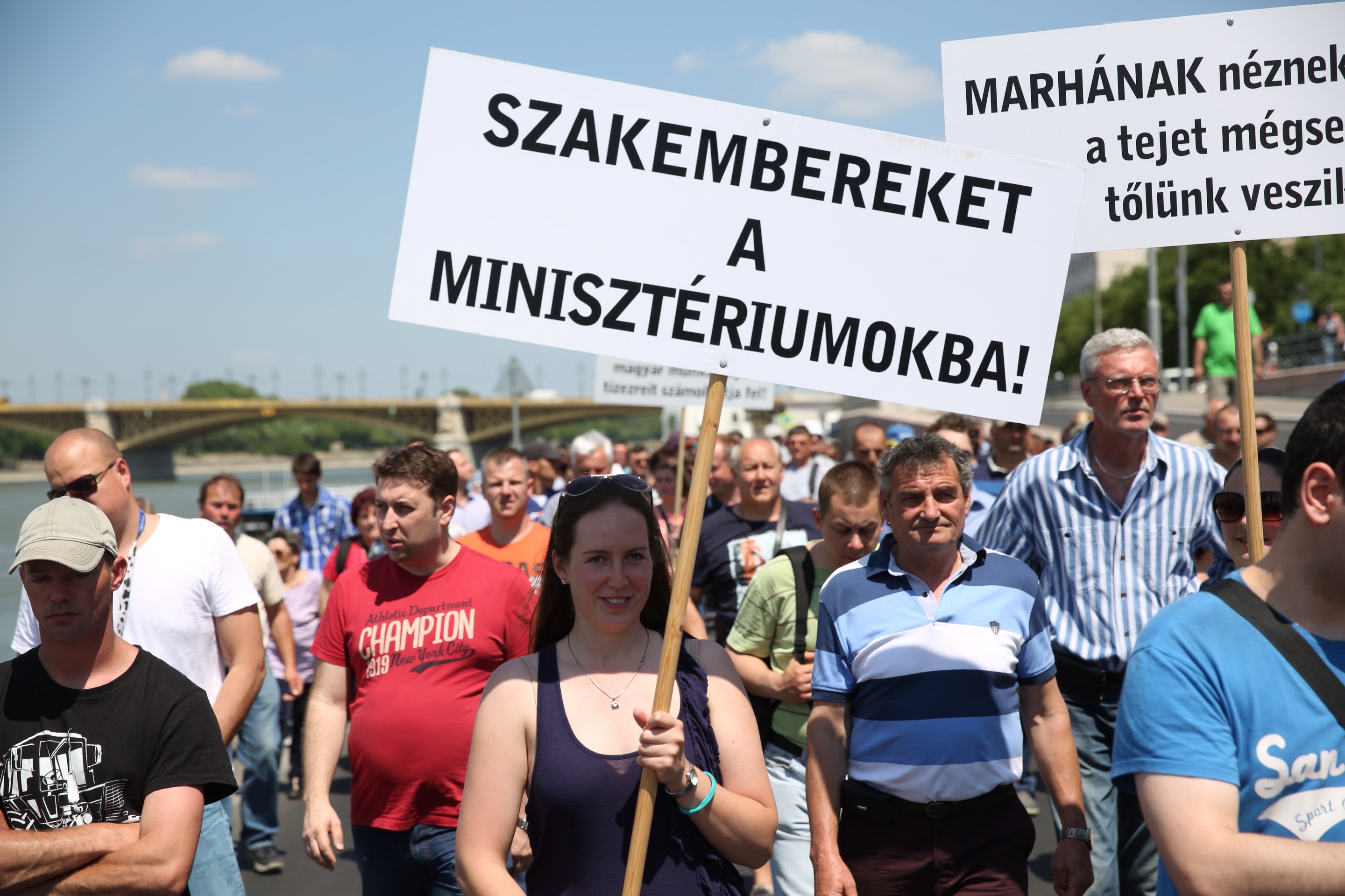 Fantasztikus szlogennel tüntetnek a tehenesek Budapesten