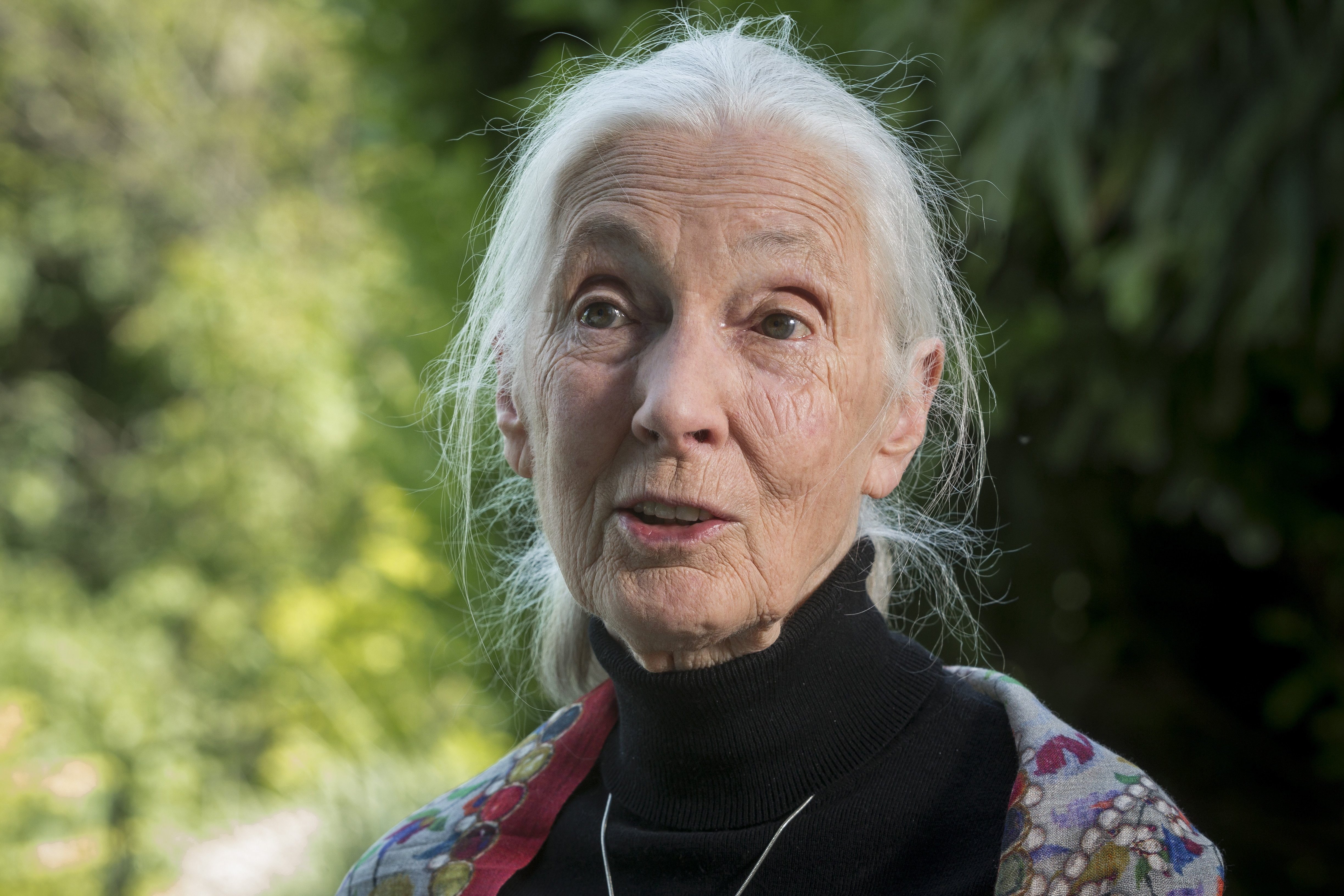 Budapesten adott elő Jane Goodall
