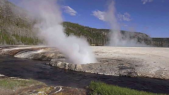 Gőzölgő forrásba esett és meghalt egy turista a Yellowstone Parkban