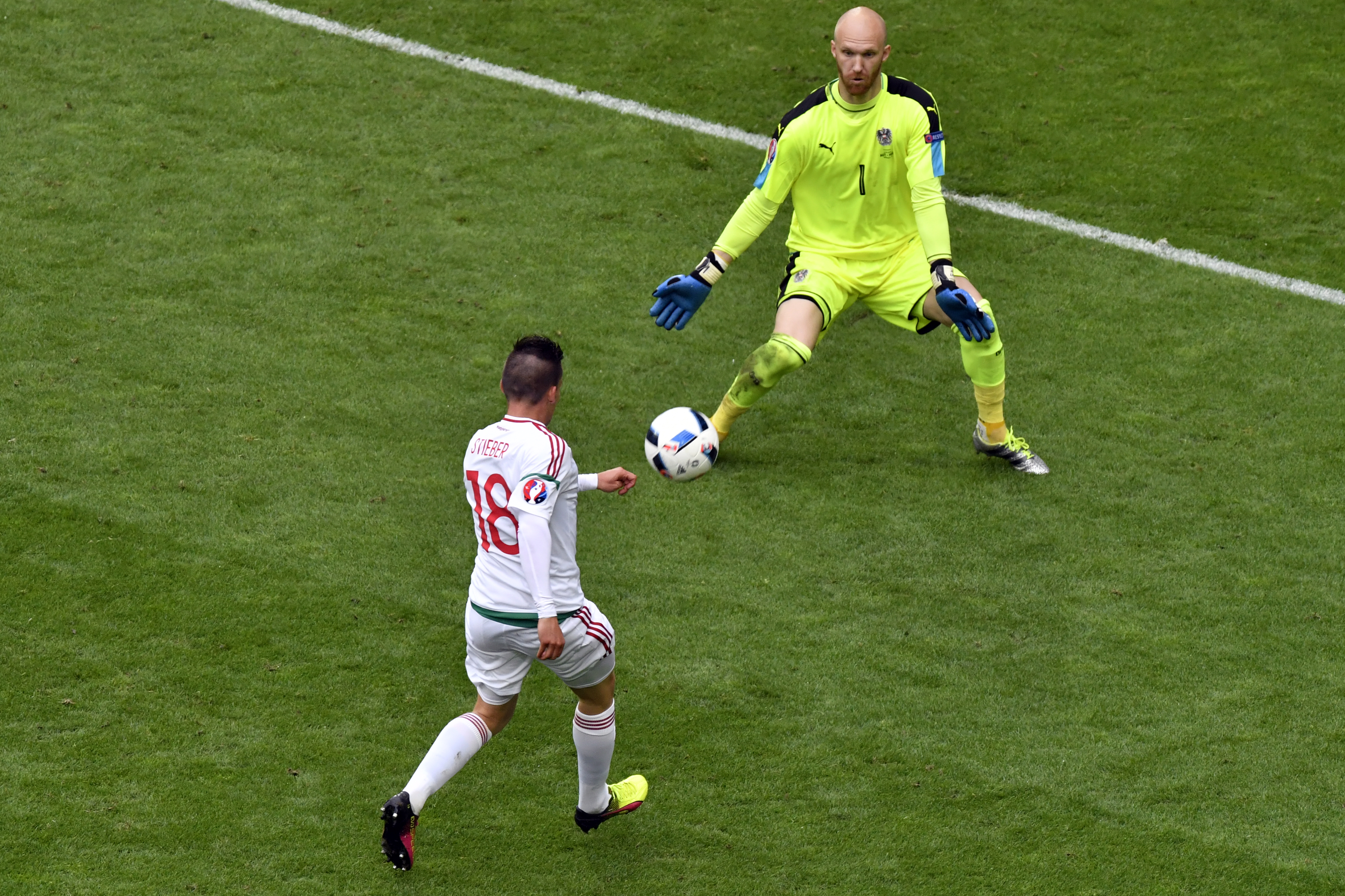 Euro goal. Гол!. Золтан футбол. Дундо-гол.