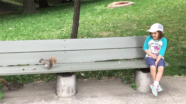 Ezt tényleg nem hiszed el: mókus húzza ki a kislány tejfogát