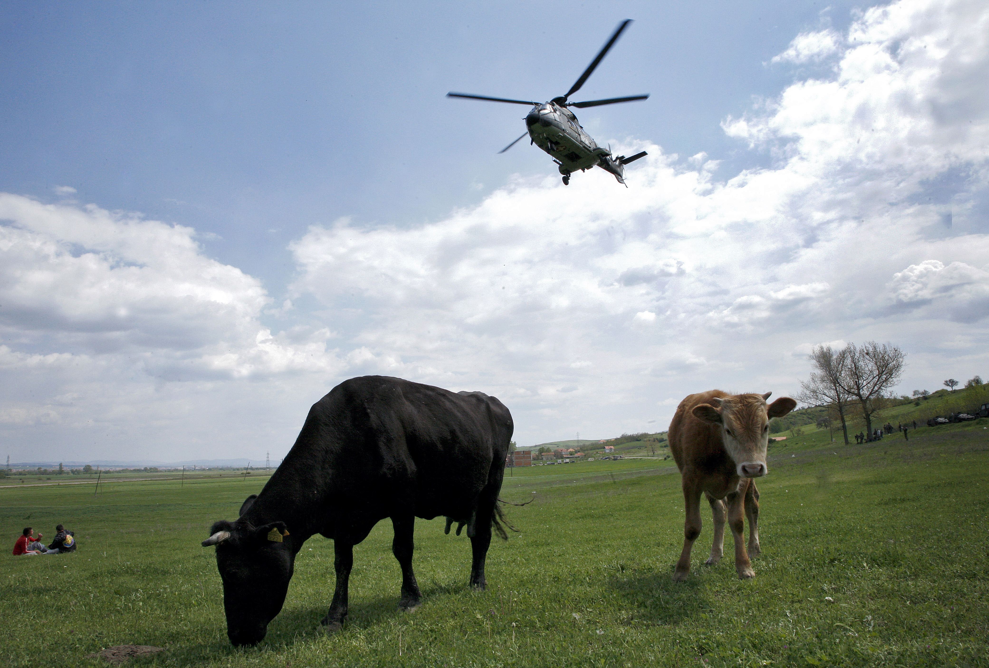 Helikopterrel kellett kimenteni az Alpokból egy tehenek elől menekülő, osztrák túrázót