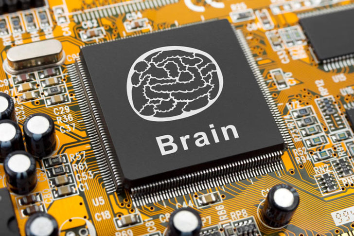 Kérdéses, hogy mai kutatási módszereinkkel megérthetjük-e az agy működését