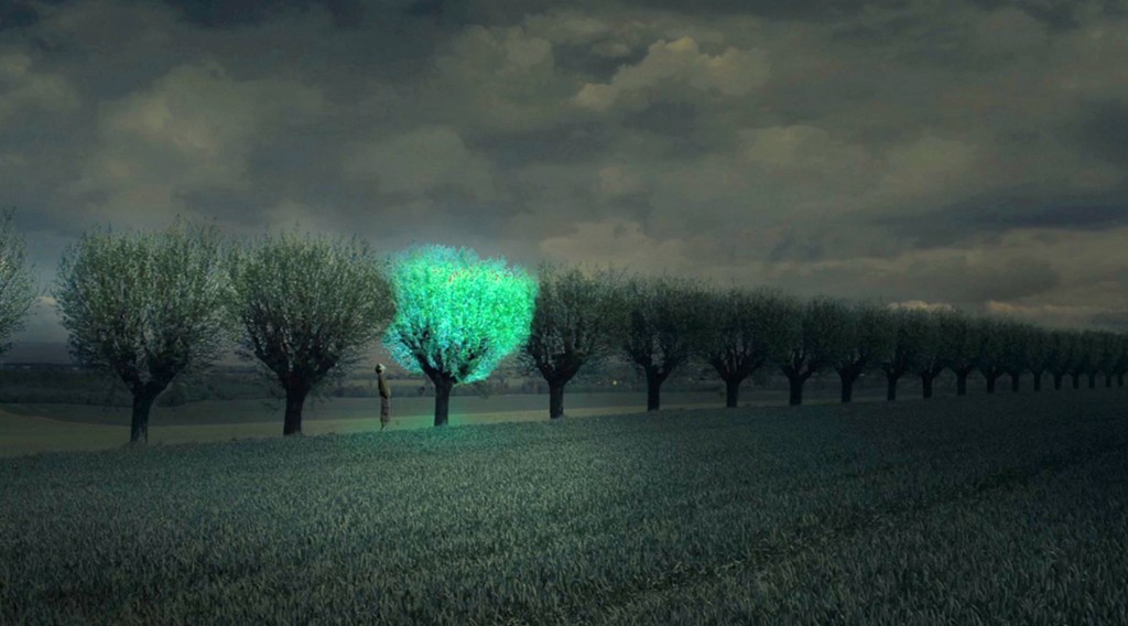Lehet, hogy a jövő útjait világító fák fogják szegélyezni, de nem a közeljövőét
