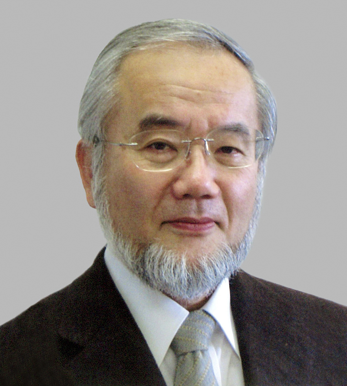 Oszumi Josinori japán sejtkutató kapta az orvosi Nobel-díjat