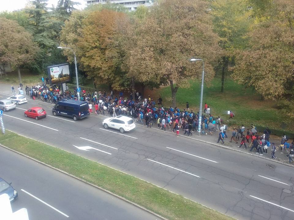 Északnak fordultak a Belgrádból útra kelt menekültek