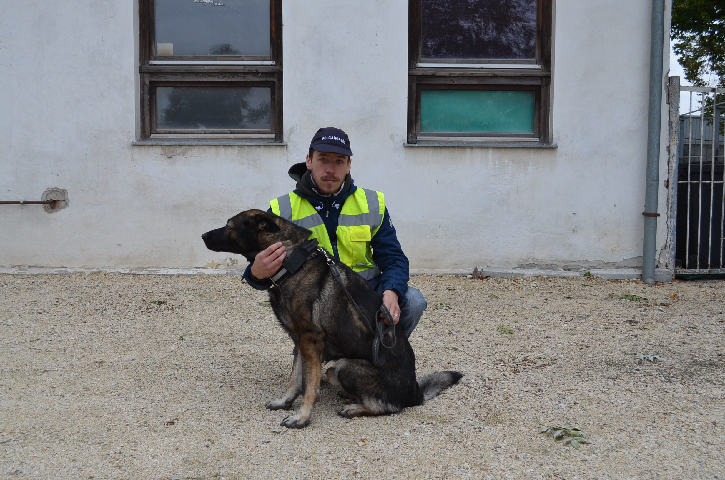 Ellopták a mosonmagyaróvári polgárőrök szolgálati kutyáját, Zorallt