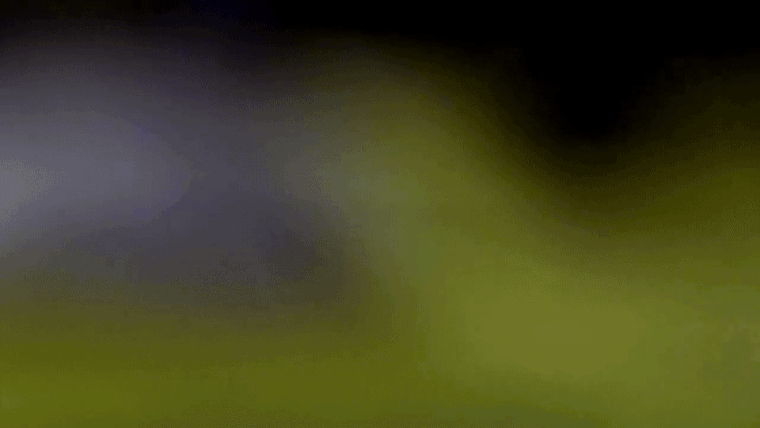 Blurred placeholder