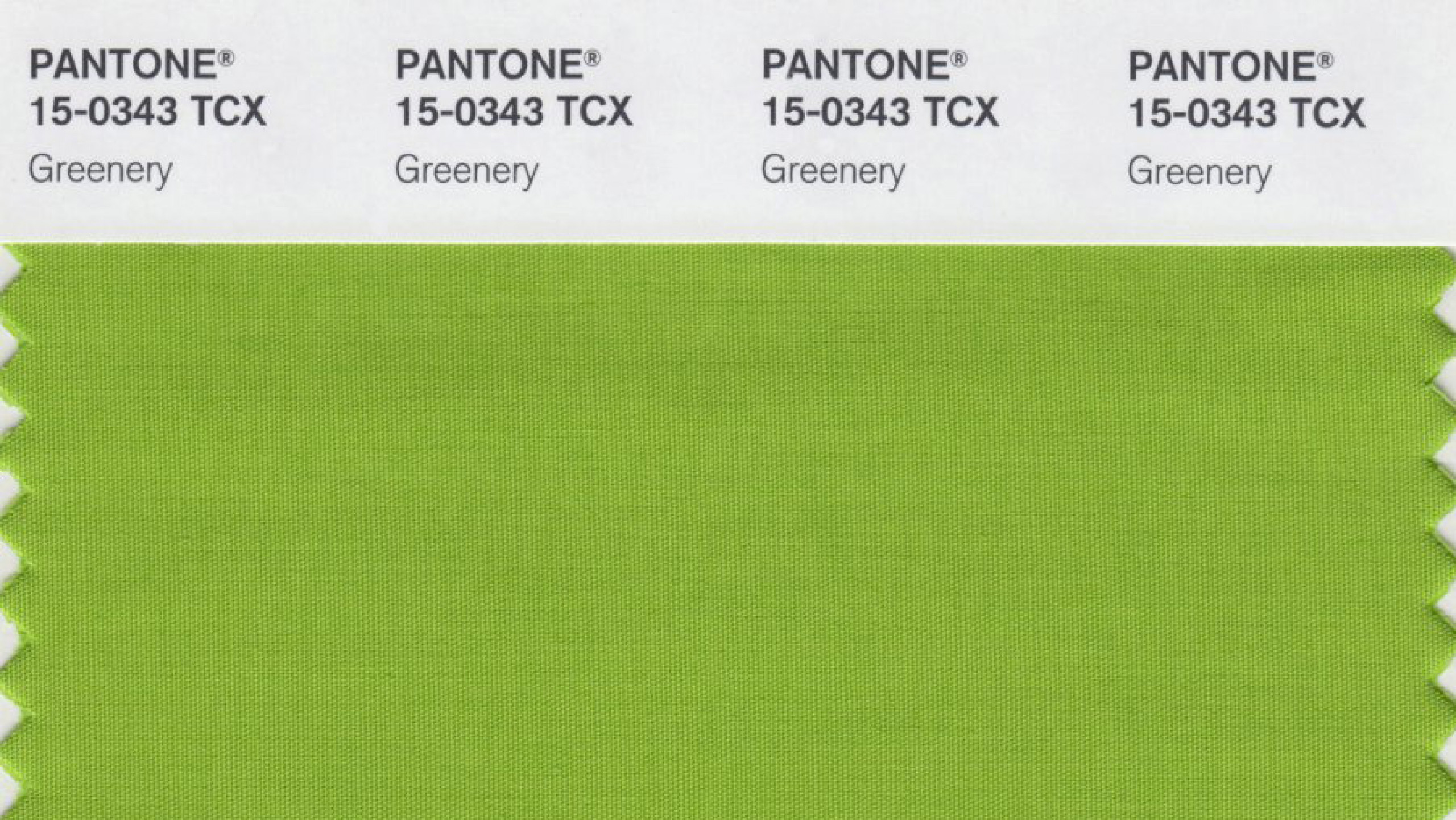 Институт цвета pantone. Пантон 343. Pantone 15-0343 TCX. Институт цвета пантон зеленый оттенок. Институт цвета Pantone 2017.