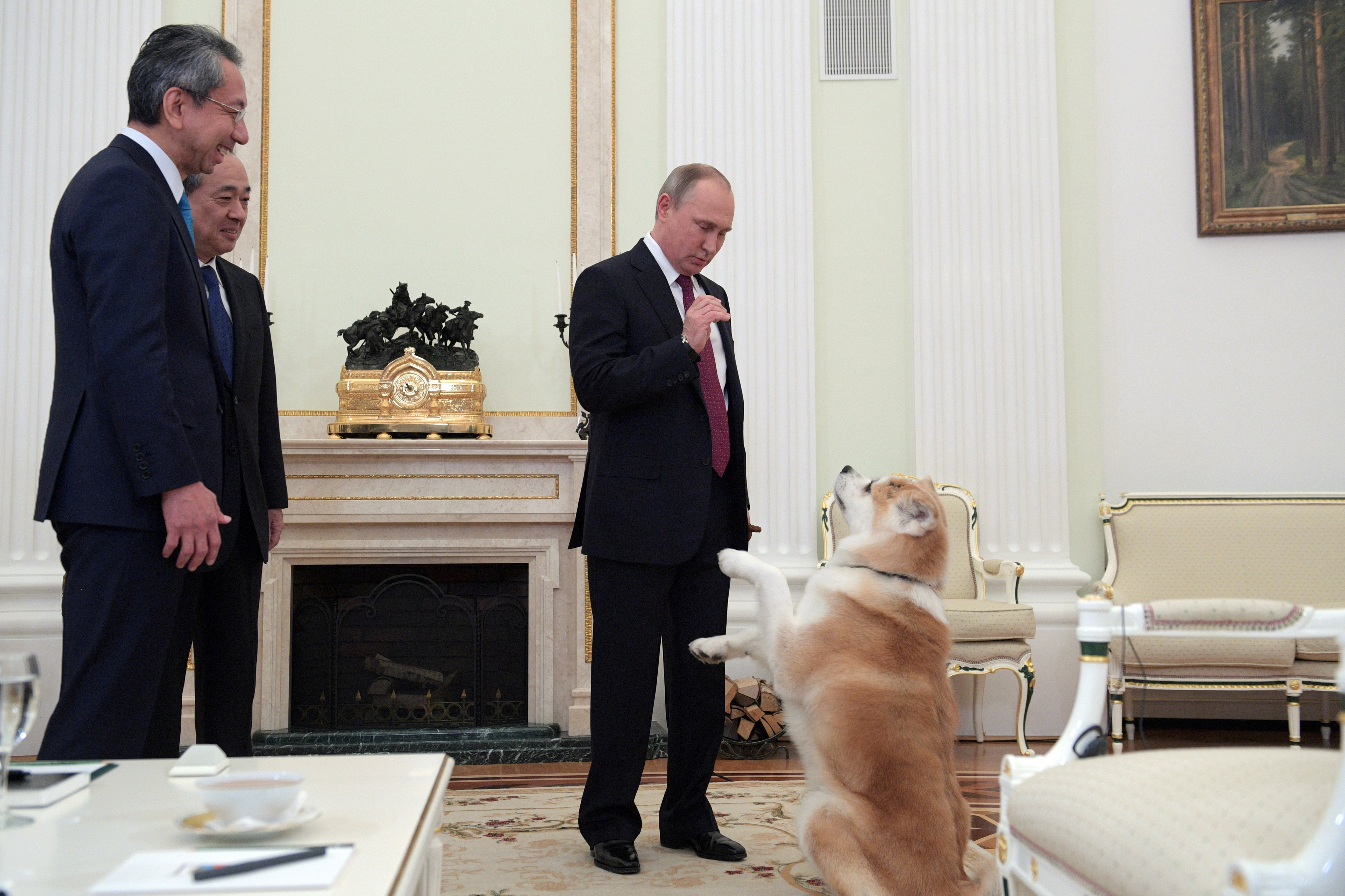 Kutyapolitika: a japánoktól kapott akitával parádézott Putyin