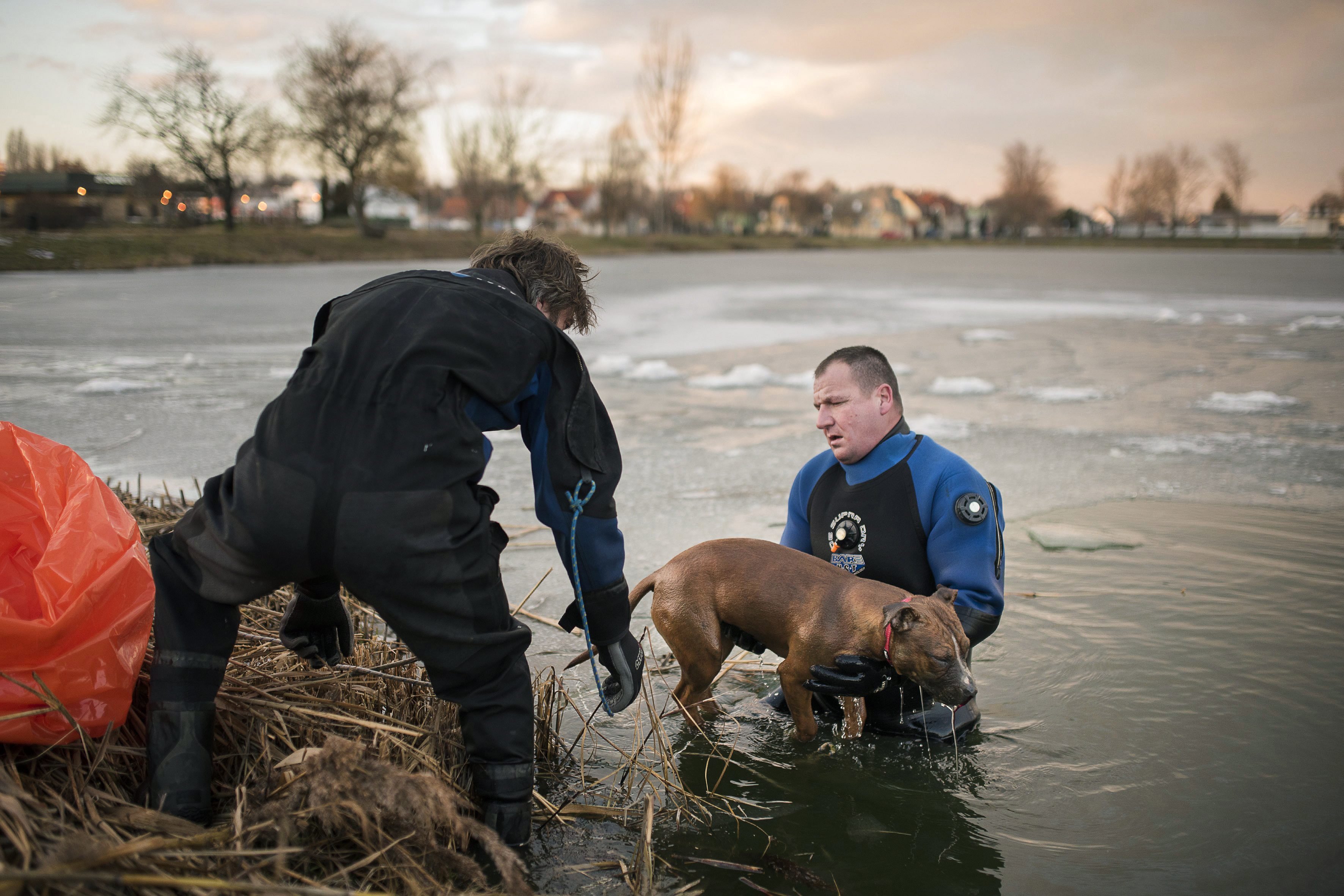 Hiába dolgoztak a speciális mentők, nem sikerült megmenteni a nyíregyházi tóba fagyott kutyát