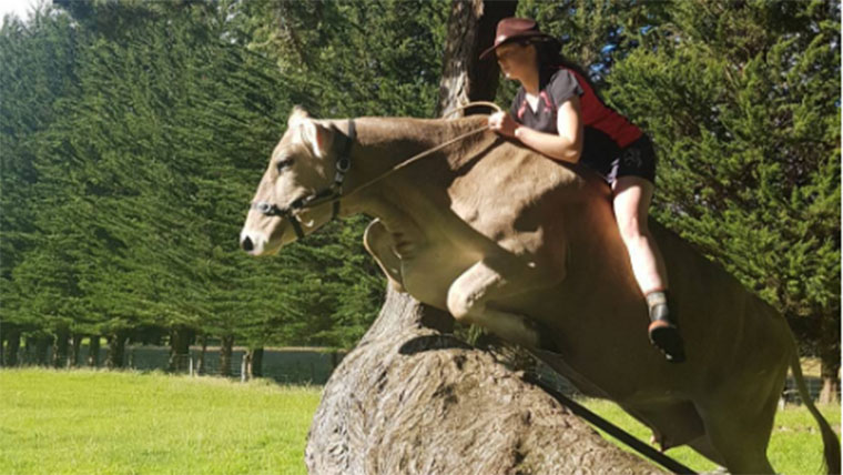 Az új-zélandi parasztlány díjugrató akart lenni, de nem volt lova