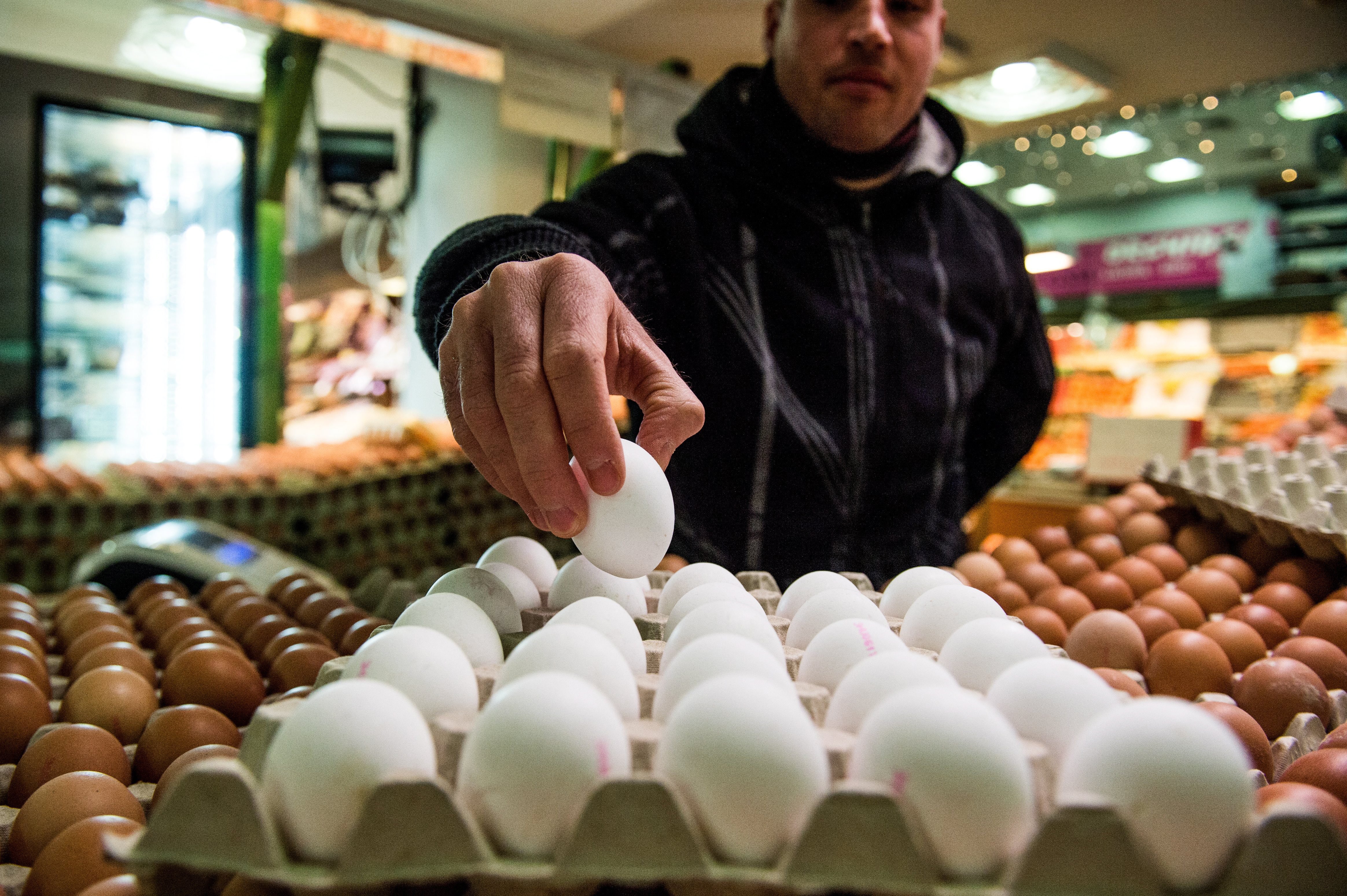 Sok százezer rovarirtóval szennyezett tojás lephette el Európát