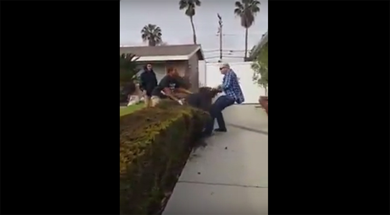 Százak mentek az utcára a kaliforniai Anaheimben, miután kikerült a Youtube-ra egy videó a gyerekek között lövöldöző rendőrről