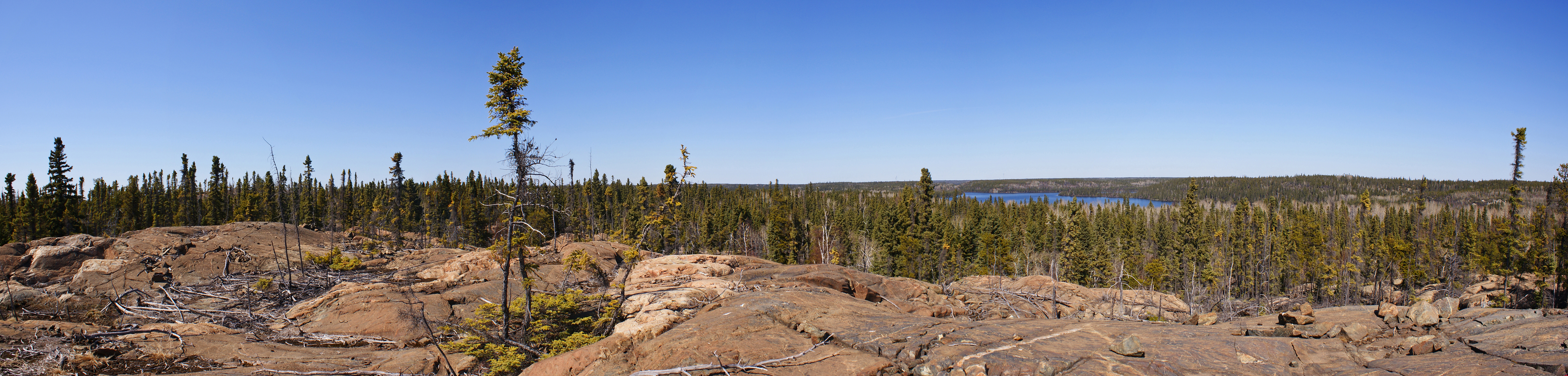 A kanadai pajzs Manitoba tartományban. A pajzsot a legrégibb ismert földi kőzetek alkotják.  Fotó: Green Slash / Wikimedia Commons CC BY 3.0