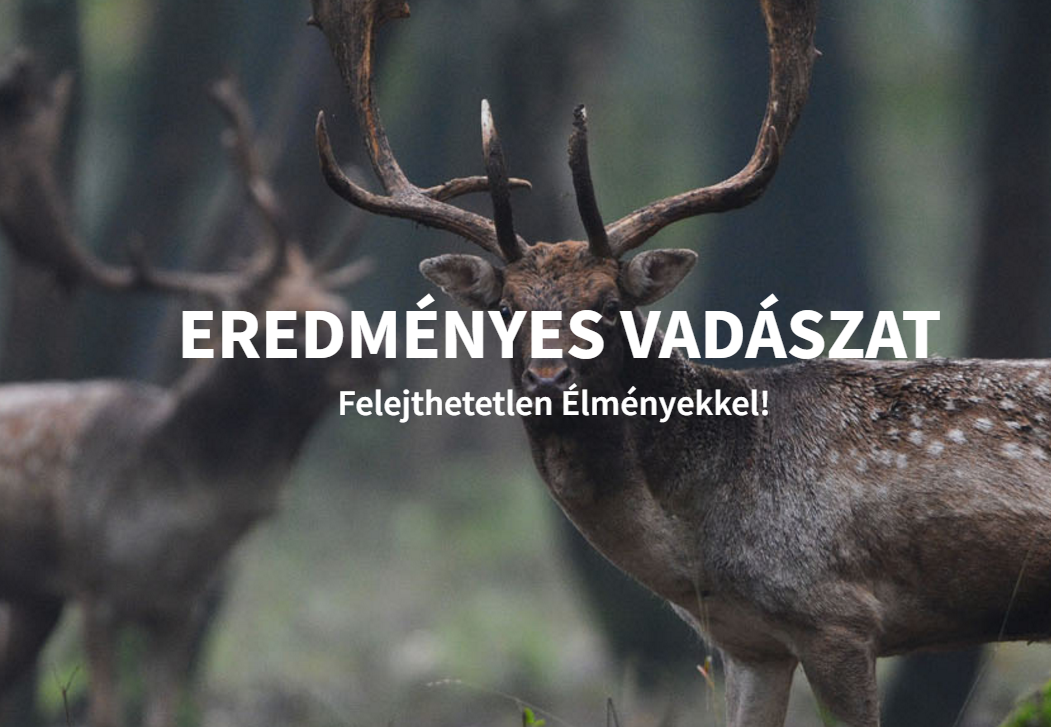 17 ezer hektáron pusztítják az állatokat Mészáros Lőrinc vadásztársáságában