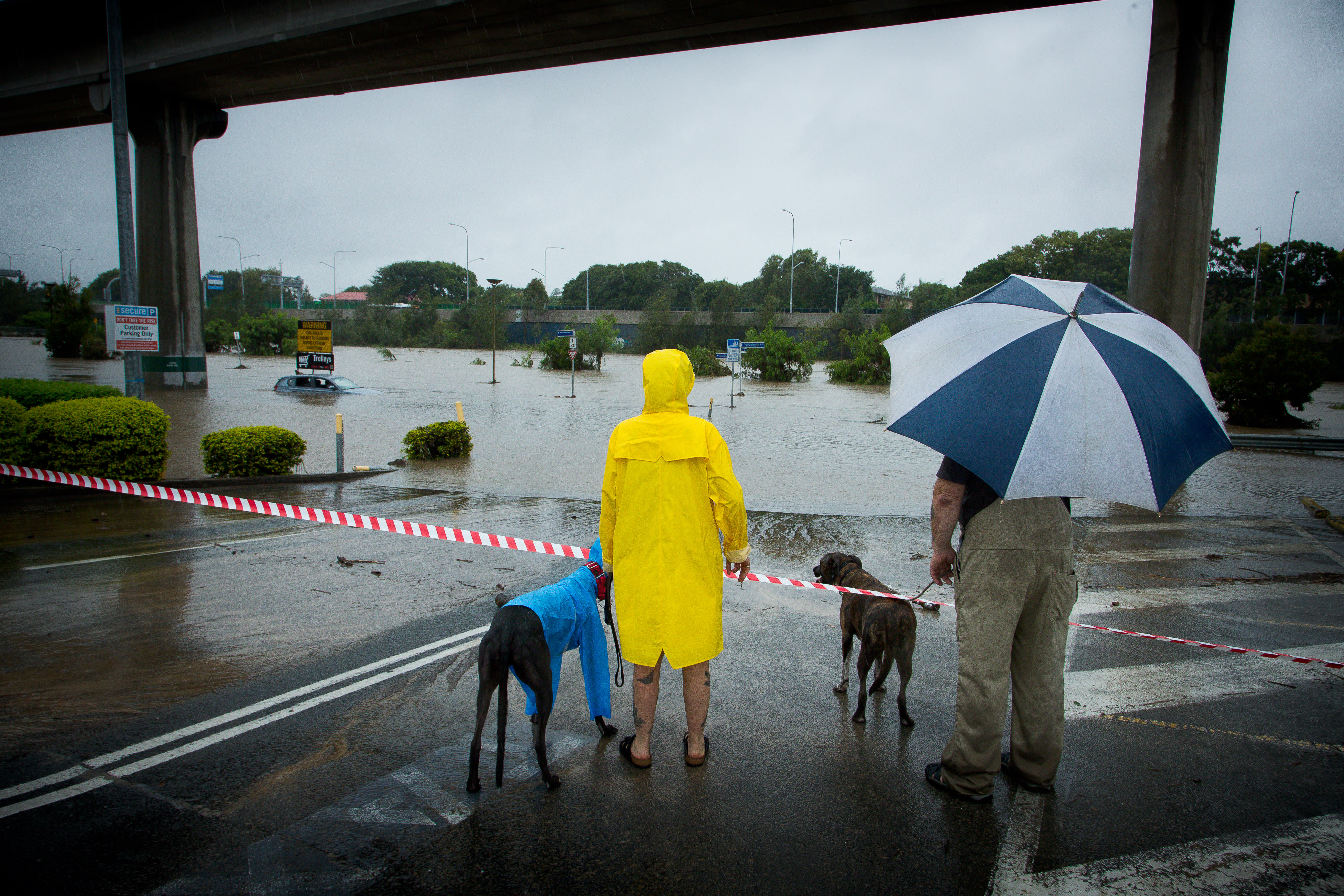 AFP PHOTO / Patrick HAMILTON