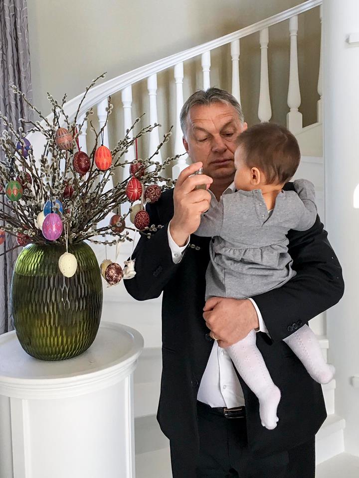 Orbán Viktor karja beleakadt egy barkaágba