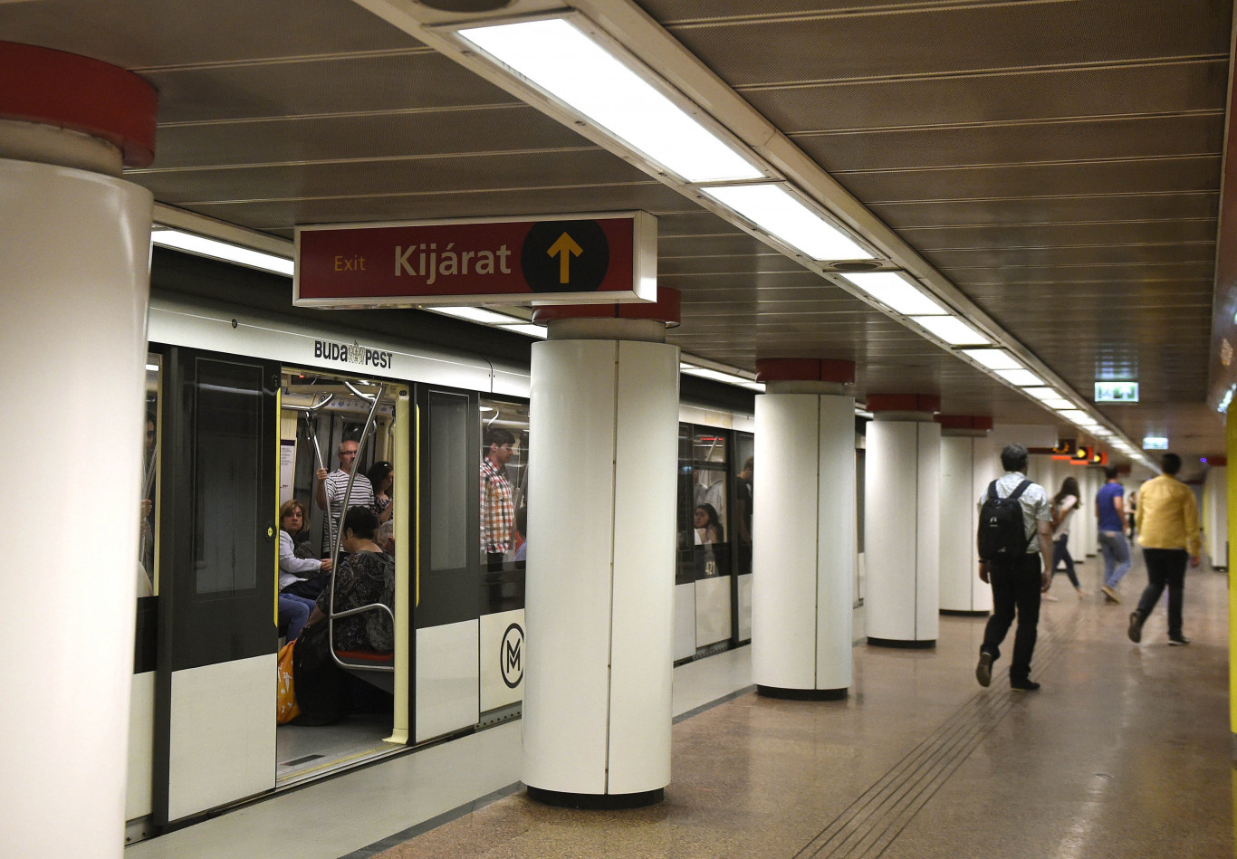 Vaddisznó jutott le a Kossuth téri metróállomásra, leállt a metróközlekedés