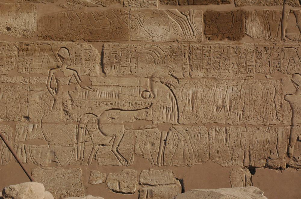 Hadifoglyok menete, Luxor