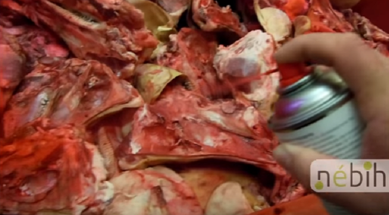 Fogadják szeretettel a NÉBIH új slasher-horrorját, a  Csaknem 9 tonna fagyasztott hústerméket foglalt le a NÉBIH című alkotást