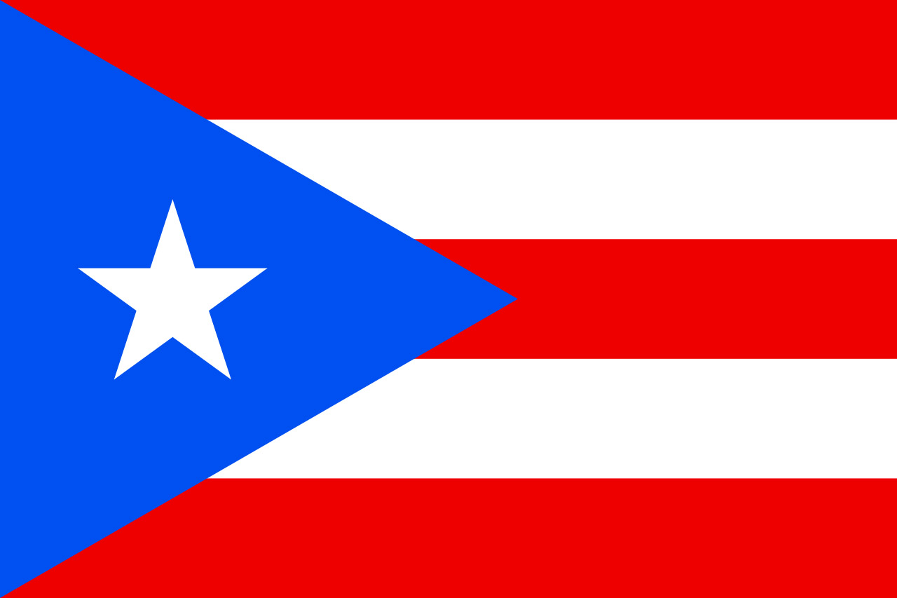 A Puerto Ricó-i szavazók 93 százaléka arra szavazott a népszavazáson, hogy a szigetország legyen végre az USA tagállama